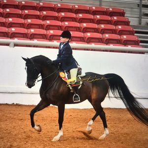 Meet your Posher, Madelyn